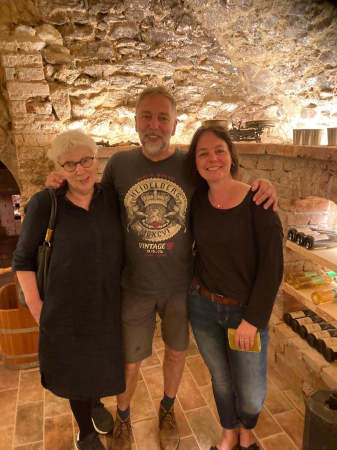 Pension Sunnseitn - Gasthof - Cafe - Weinkeller Haslach an der Muhl Екстер'єр фото