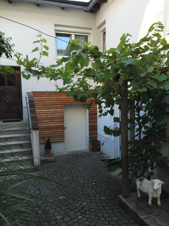 Pension Sunnseitn - Gasthof - Cafe - Weinkeller Haslach an der Muhl Екстер'єр фото