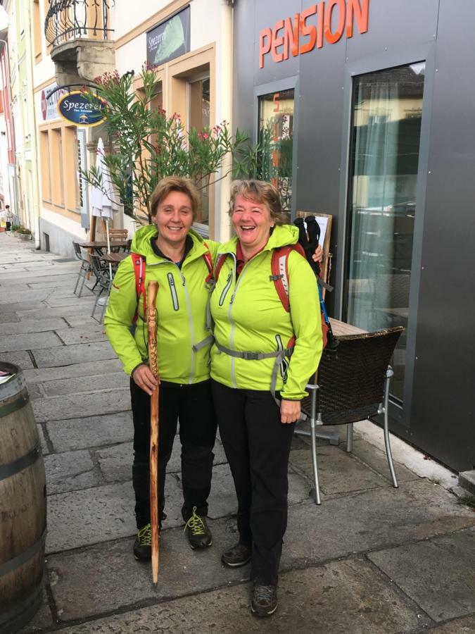 Pension Sunnseitn - Gasthof - Cafe - Weinkeller Haslach an der Muhl Екстер'єр фото